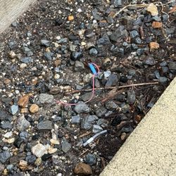 The Courts at Huntington Station - Planter box with rocks and wires. No flowers