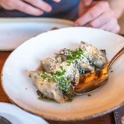 Frena - Oxtail tortellini