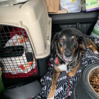 Happy Tails Travel - Travel Services Near Me Happy Tails Travel - Travel Services Near Me