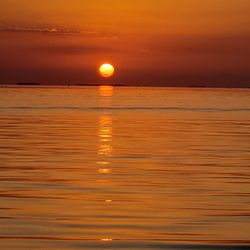 Islamorada Turtle Tours