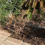 Photo of Yocmar Lawn Services