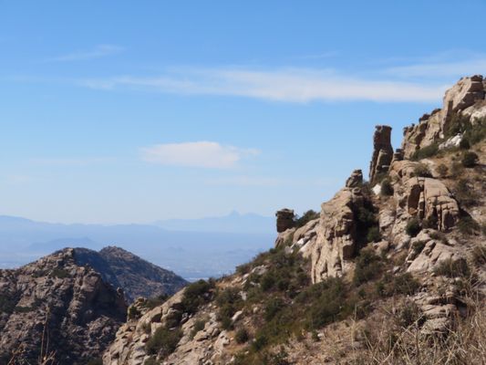 Santa Catalina Natural Area by null