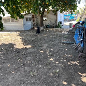Mundo Verde - Estos son los resultados - Gardeners Near Me - El Monte, California Mundo Verde - Estos son los resultados - Gardeners Near Me - El Monte, California