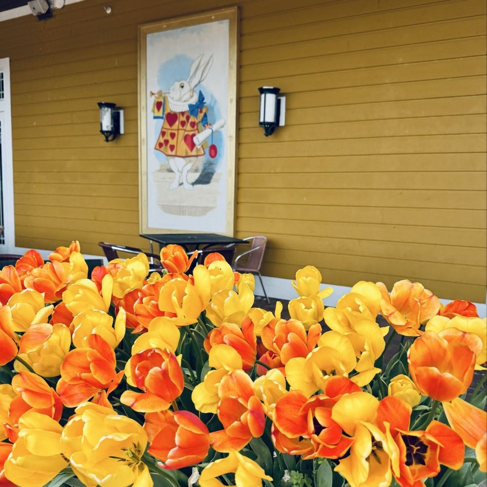 Willow Creek Winery - Wineries Near Me - West Cape May, New Jersey Willow Creek Winery - Wineries Near Me - West Cape May, New Jersey