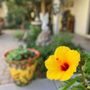 Photo of DreamCatcher Inn At Chiricahua