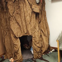 Camille Sata, DMD - Dentistry for Children - There's a whole tree to hide in in the waiting area!