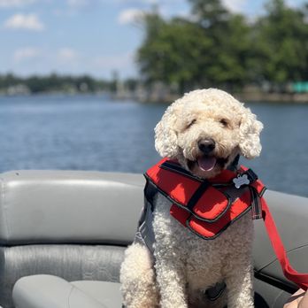 Lake Murray Boat Rentals - Service dog on board the rental! - Boating Near Me - Leesville, South Carolina Lake Murray Boat Rentals - Service dog on board the rental! - Boating Near Me - Leesville, South Carolina