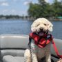 Photo of Lake Murray Boat Rentals