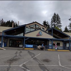 Kingston IGA Market - Market
