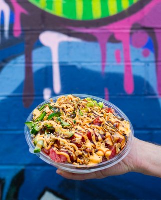 Aloha Poke by null