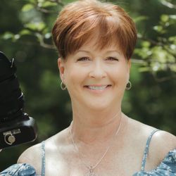 Daisy Lane Images