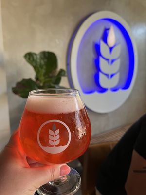 Pure Project Balboa Park by null