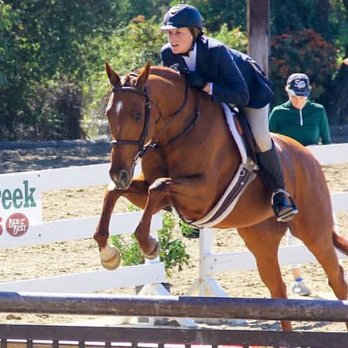 Pacific Cove Stables - Horseback Riding Near Me - Sylmar, California Pacific Cove Stables - Horseback Riding Near Me - Sylmar, California