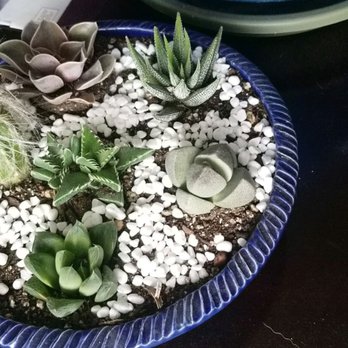 Natural Selection - Better picture of one of them. - Taxidermy Near Me - Reno, Nevada