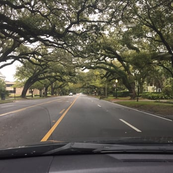 City of Mobile - More live oaks - Public Services & Government Near Me City of Mobile - More live oaks - Public Services & Government Near Me
