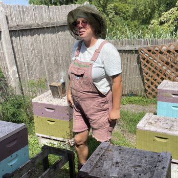 Big Island Bees - Protected hive area display - Honey Near Me - Captain Cook, Hawaii Big Island Bees - Protected hive area display - Honey Near Me - Captain Cook, Hawaii