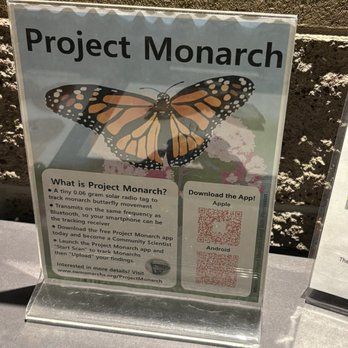 Butterfly Wonderland - Botanical Gardens Near Me - Scottsdale, Arizona