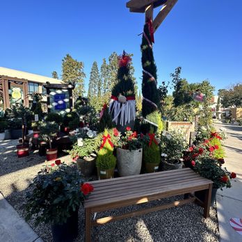 Armstrong Garden Centers - a wooden bench with christmas decorations - Nurseries & Gardening Near Me - Tustin, California Armstrong Garden Centers - a wooden bench with christmas decorations - Nurseries & Gardening Near Me - Tustin, California