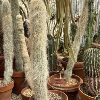 Moorten Botanical Garden - March 2026 - Nurseries & Gardening Near Me - Palm Springs, California Moorten Botanical Garden - March 2026 - Nurseries & Gardening Near Me - Palm Springs, California