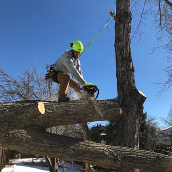 Arbor Nation - Storm damage - Tree Services Near Me Arbor Nation - Storm damage - Tree Services Near Me