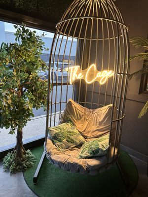 The Cage in Audubon by null