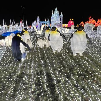 LuminoCity Festival - Penguins - Festivals Near Me - Gaithersburg, Maryland LuminoCity Festival - Penguins - Festivals Near Me - Gaithersburg, Maryland