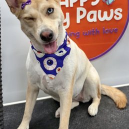 LOVE Loosie's bows!!!!
