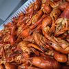 Krab Kingz Springfield gift card