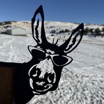 Cripple Creek Donkeys - Animal Shelters Near Me - Cripple Creek, Colorado Cripple Creek Donkeys - Animal Shelters Near Me - Cripple Creek, Colorado