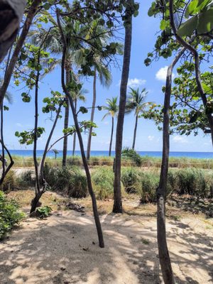 Bal Harbour Beach by null