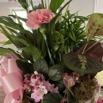 Minish And Potts - What I received. 2 carnations and the 2 small plants in front don't look happy. Received 2 days ago and photo taken today. - Florists Near Me - Crestwood, Kentucky Minish And Potts - What I received. 2 carnations and the 2 small plants in front don't look happy. Received 2 days ago and photo taken today. - Florists Near Me - Crestwood, Kentucky