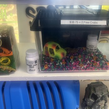 The Spoiled Pet - Pet Stores Near Me - Myrtle Beach, South Carolina