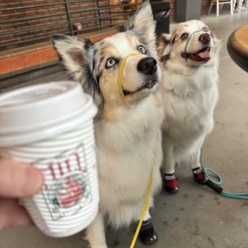 The Mill Coffee &Tea - Coffee & Tea Near Me - Lincoln, Nebraska