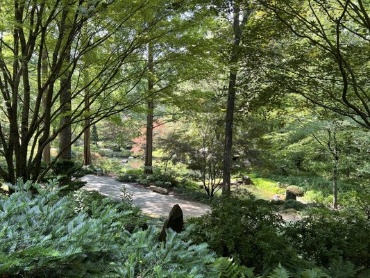 Gibbs Gardens by null