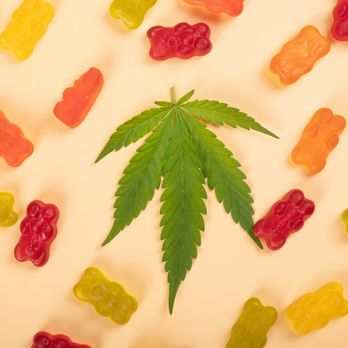 Cannabis Express Delivery - Cannabis Dispensaries Near Me - San Diego, California Cannabis Express Delivery - Cannabis Dispensaries Near Me - San Diego, California