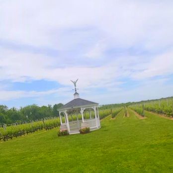 Hampton Luxury Liner - Duck Walk Vinyards - Public Transportation Near Me Hampton Luxury Liner - Duck Walk Vinyards - Public Transportation Near Me