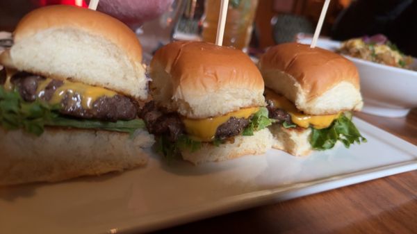 McMenamins Anderson School