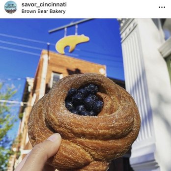 Brown Bear Bakery - Bakeries Near Me - Cincinnati, Ohio Brown Bear Bakery - Bakeries Near Me - Cincinnati, Ohio