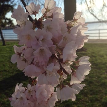 Hains Point - Parks Near Me - Washington, DC, District of Columbia