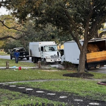 M&J Tree Professionals - Landscaping Near Me - Spring, Texas M&J Tree Professionals - Landscaping Near Me - Spring, Texas