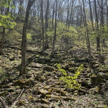 Black Rock Mountain State Park - TRT view - Parks Near Me - Mountain City, Georgia