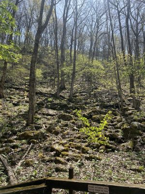 Black Rock Mountain State Park by null