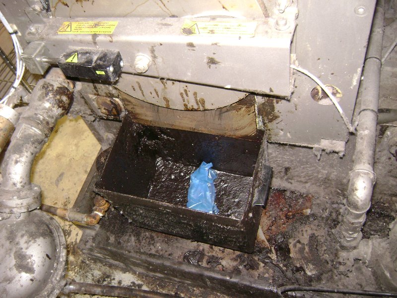 Stokes Environmental Associates - mold inspector in Norfolk, VA