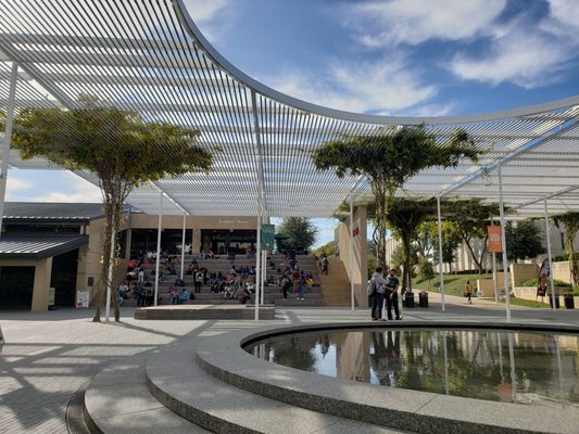 The University of Texas at Dallas by null