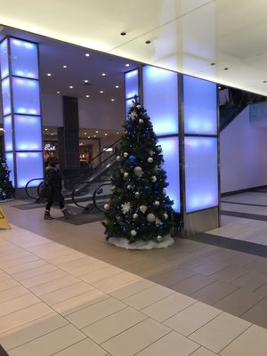 Yonge Eglinton Centre by null