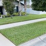 Photo of Tampa Bama Lawn Service