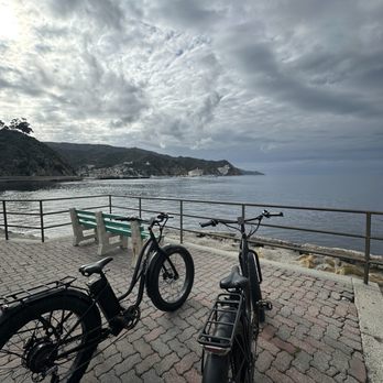 Leyva's Electric - Bike tours Near Me - Avalon, California Leyva's Electric - Bike tours Near Me - Avalon, California