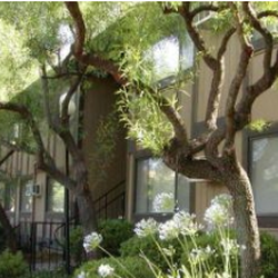 Sierra Sunset Village by FPI Management