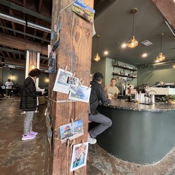 Harbor Coffee - Counter and decor - Coffee & Tea Near Me - Atlanta, Georgia Harbor Coffee - Counter and decor - Coffee & Tea Near Me - Atlanta, Georgia