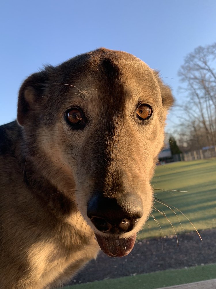 Social spots from Veteran's Park - Alabaster